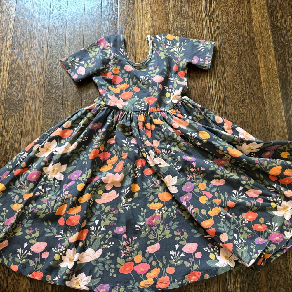 Alice + Ames Size 8 Short Sleeve Ballet Dress in Midnight Botany
